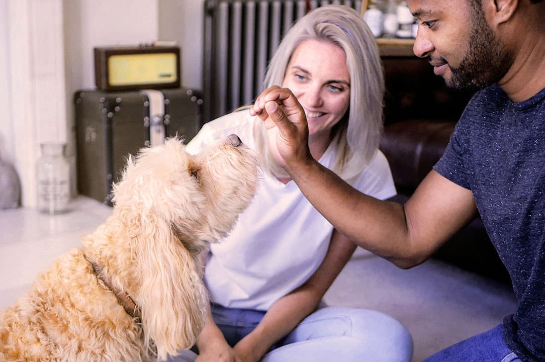 Connect with caring sitters